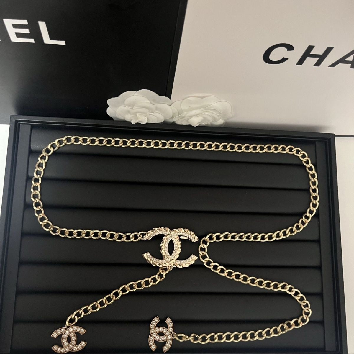 Silver Curb Chain Waist Belt | Crystal Buckle & Chain Tassel Drop